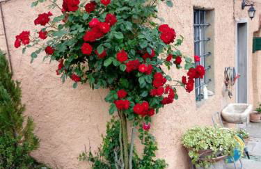 Casa di Campagna Il Granaio - Foto 2