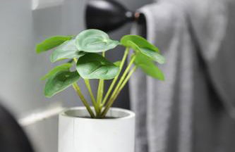 Eagle Lake Cottage - Foto 19