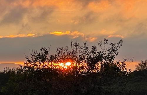 Rural, Secure Garden, Woodland Walks, 23 min to beach - Foto 26