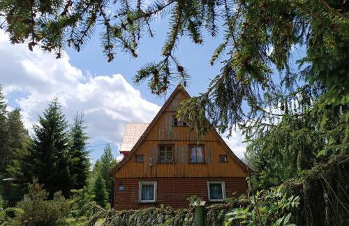 Strażnica Pod Lasem - Foto 41