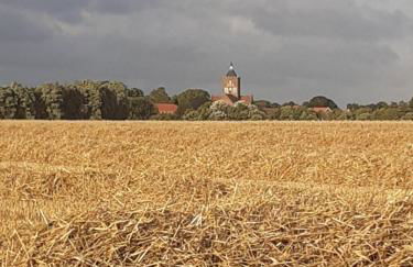 Pilsumer Warfthaus - Foto 50