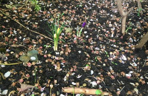 Cherrytree Cottage 1840 - Foto 45