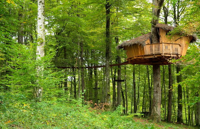 L'Arbre à Cabane - Foto 9