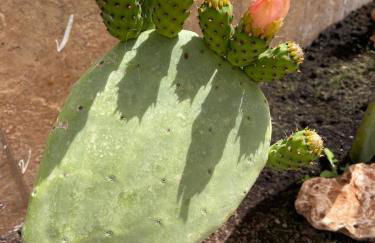 Casa Pedra São Romão - Foto 22