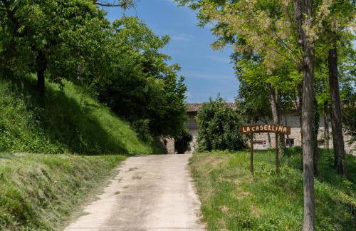 Casa Il Nocciolo - Foto 2