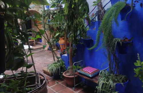 El patio azul Bohemio Mágico - Foto 9