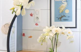 Colmar Friends and Familly guest home - ALL INCLUSIVE - COLMAR Gare - Jardin - Combles et Vous - Foto 43