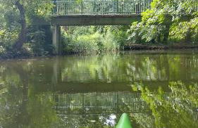 Alt-Berliner Schwanenhof - Ferienwohnungen Lychen - Photo 54