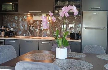 Diament Rogowo - Foto 2