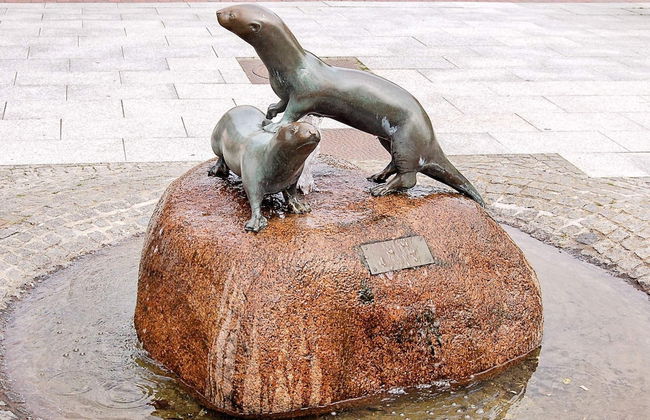 Holiday Home in Otterndorf - Foto 11