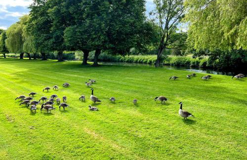 Riverbank Lodge - Foto 36