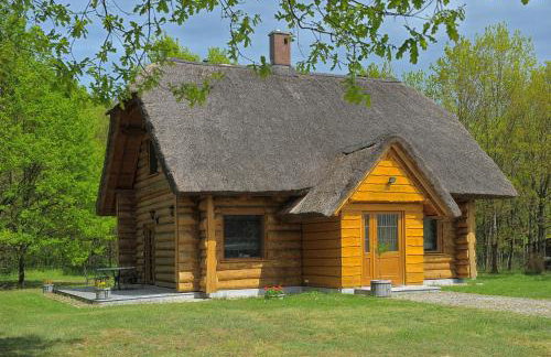 Dom pod sosnami - Foto 1