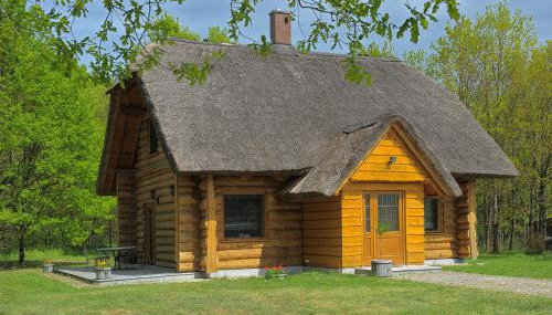 Dom pod sosnami - Foto 1