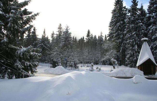 Luxurioser Wellnessaufenthalt in Elend - Foto 31
