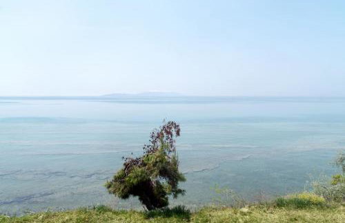 Villa Alexandra - Foto 32