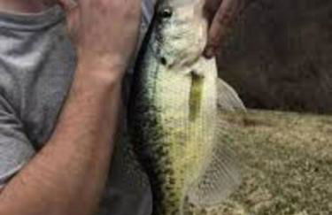 Home in the Heart of W.V. Adventure Country! - Photo 80