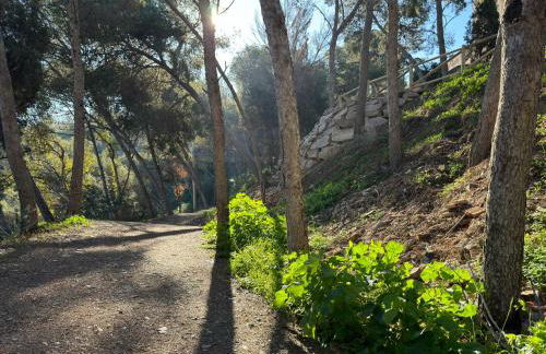 Apto boutique en la Malagueta - Photo 34