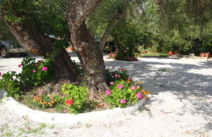 Calamon Apartments - Foto 48