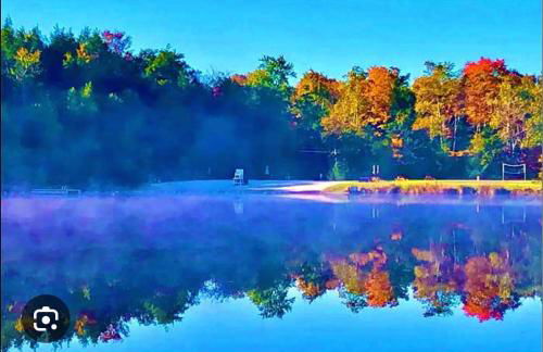 Lux Retreat with Indoor Swim Spa Game Lounge Theater Hot Tub Sauna - Foto 69