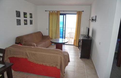 APARTAMENTO PTO LAJAS VISTAS AL MAR - Foto 13