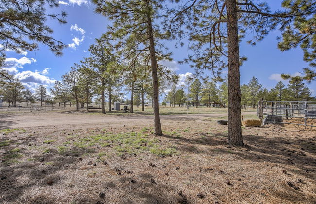 Cowboy Quarters - Foto 29