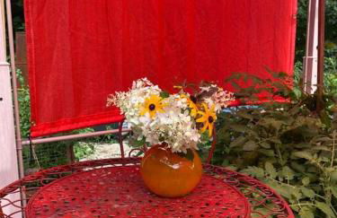 Vermont Lake Whitingham Mount Snow Area Apartment - Foto 49