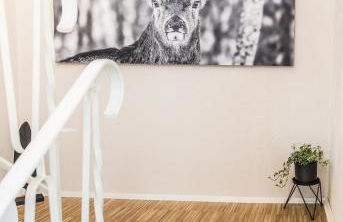 Lober´s Ferienhaus **** - Foto 8