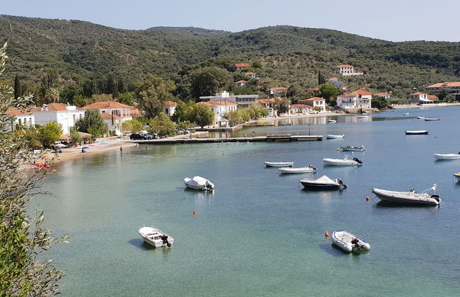 Zmas Studios - Foto 31