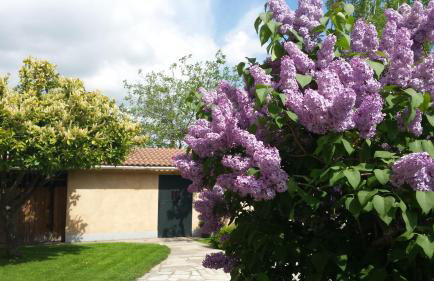 Casa Rural Las Tuyas en Segovia - Foto 16