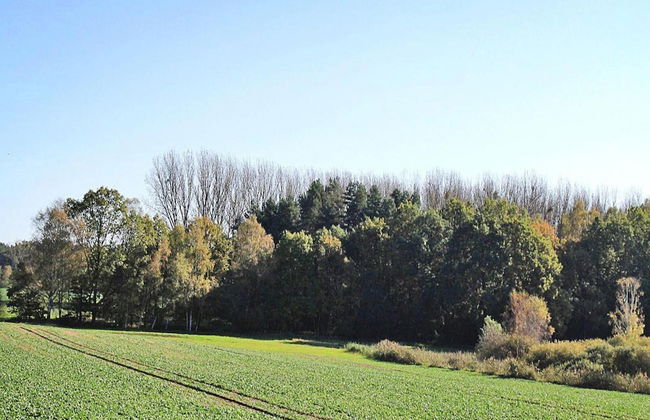 Ferienhof Mirow, Mirow - Foto 7