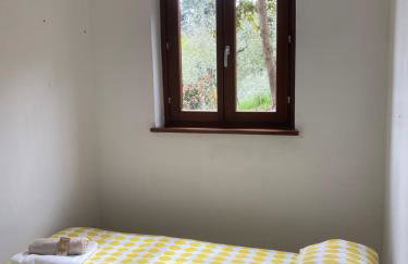 Casa Calma - Photo 2