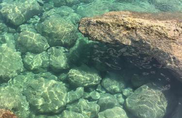 Una Finestra sul Mare - Foto 29