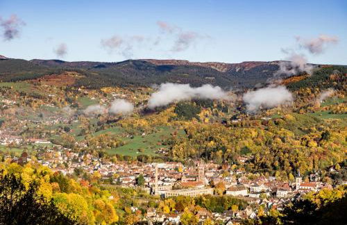 STUDIO ST GREGOIRE Au Pied des Vosges et Vignoble ! - Foto 36