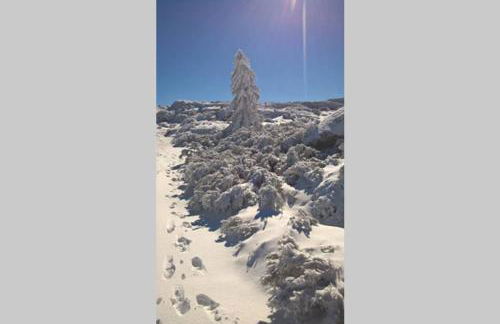 Casa Oeste - Photo 53