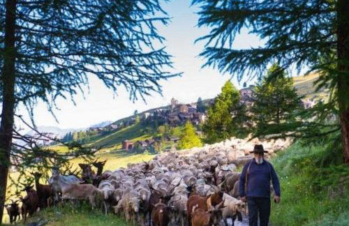 Paradis St Véran - Foto 41