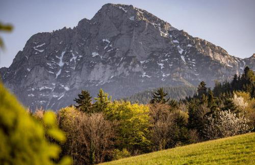 Haus Vogl Anger - Ferienwohnungen mit privater Sauna und beheizten Salzwasser Pool in Panoramalage und Nähe zu Salzburg und Berchtesgaden - Foto 37