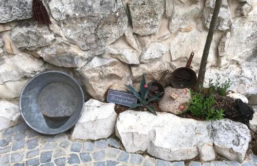 Casa das Raposas - Foto 10