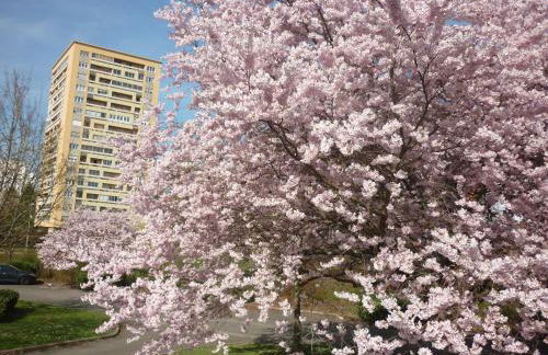 L'Orée du Parc à Belfort - Foto 16