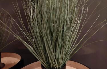 Nancy Vieille Ville Stanislas - Foto 43