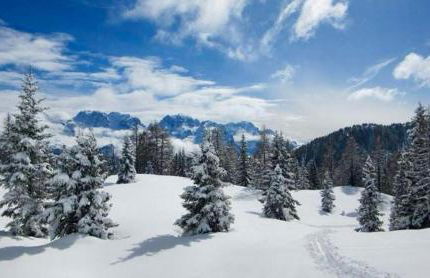 Dream Folgarida vicino alle piste da sci - Photo 18