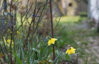 Goldhammer - Foto 39