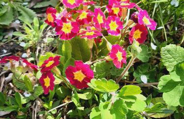 Die Malche Gäste und Tagungshaus 17 - Foto 22