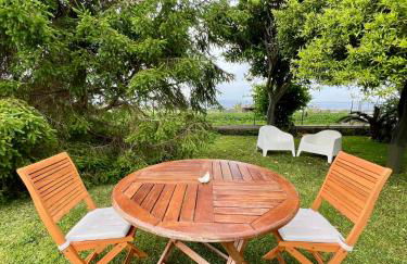 Villa Joyosa Apartments - Photo 43