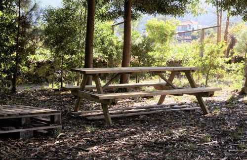 Casa da Oliveira - Foto 18