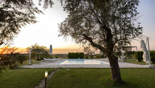 Gli Ulivi di Gino - Foto 4, Garden view