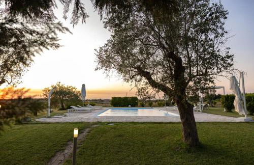 Gli Ulivi di Gino - Foto 4