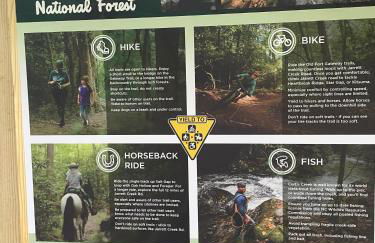 New Luxury 4 bedroom Mountain View Home w/hot tub! - Foto 43