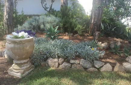 Diseño y luz entre los pinos - Foto 48