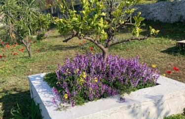 Olive Hill Private House - Foto 46