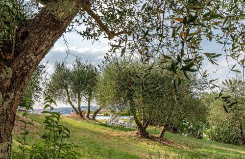 Nel cuore della Toscana con piscina - Foto 15